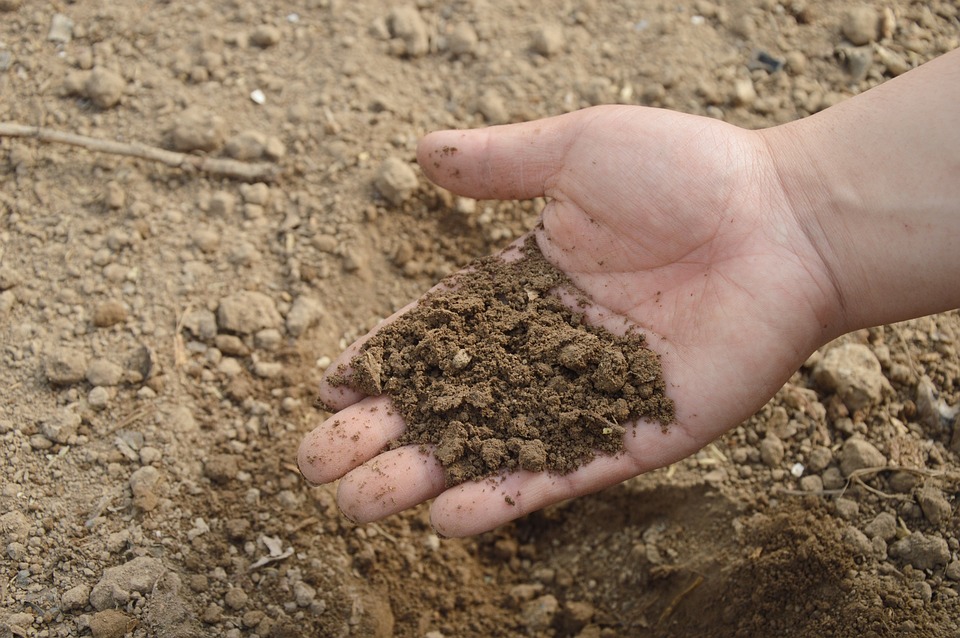 soil and sediment contamination